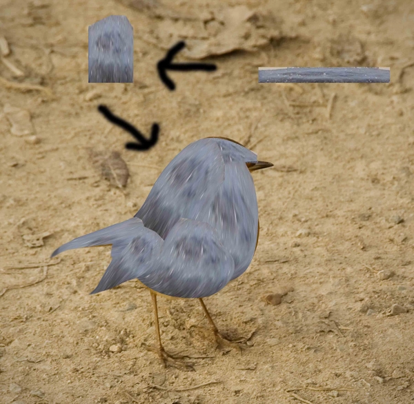 Creation of Golden Bird: Step 1